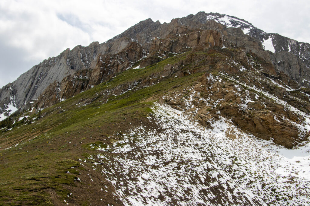 2025 – Mist Mountain